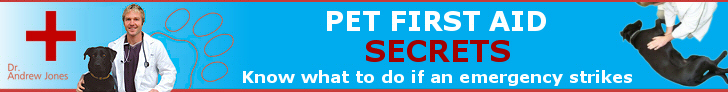 Pet First Aid Secrets